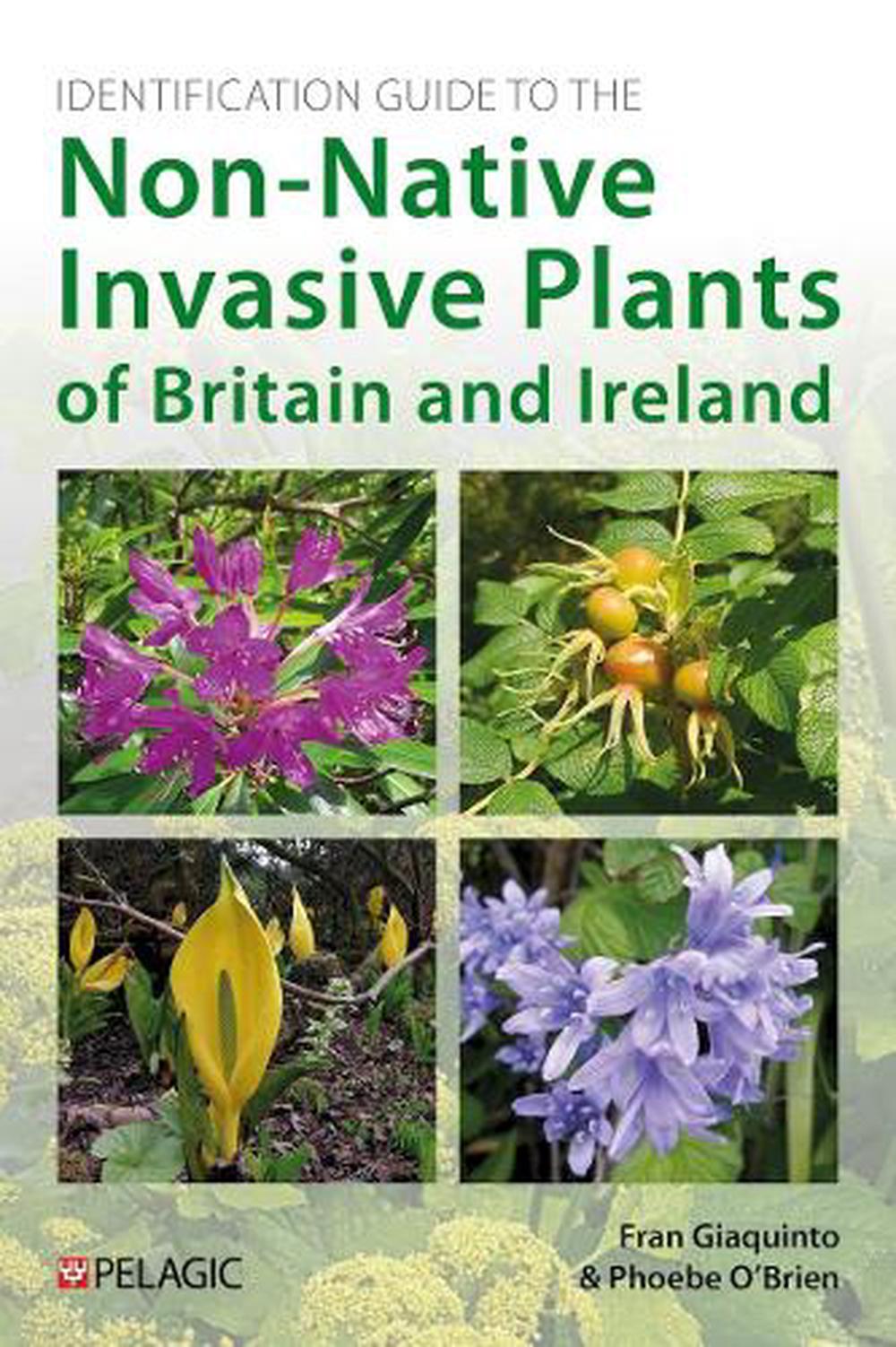 Identification Guide to the Non-Native Invasive Plants of Britain and Ireland, 9781784275648