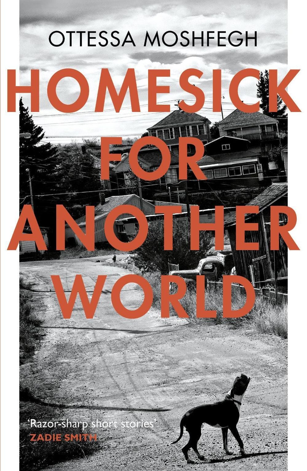 Homesick For Another World by Ottessa Moshfegh - ISBN: 9781784701505