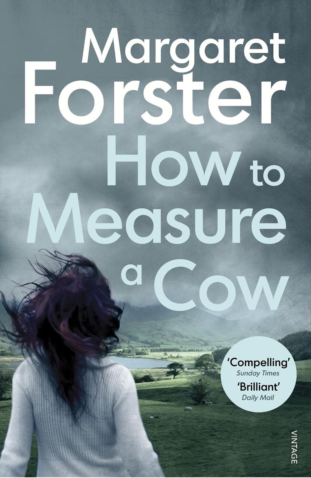 How to Measure a Cow by Margaret Forster - ISBN: 9781784702304