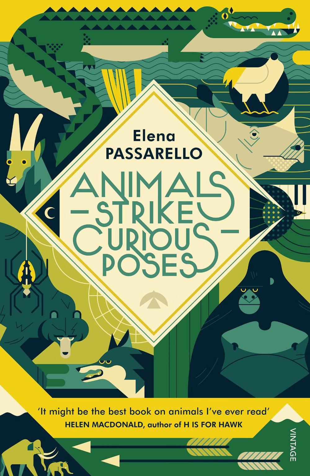 Animals Strike Curious Poses, 9781784707354