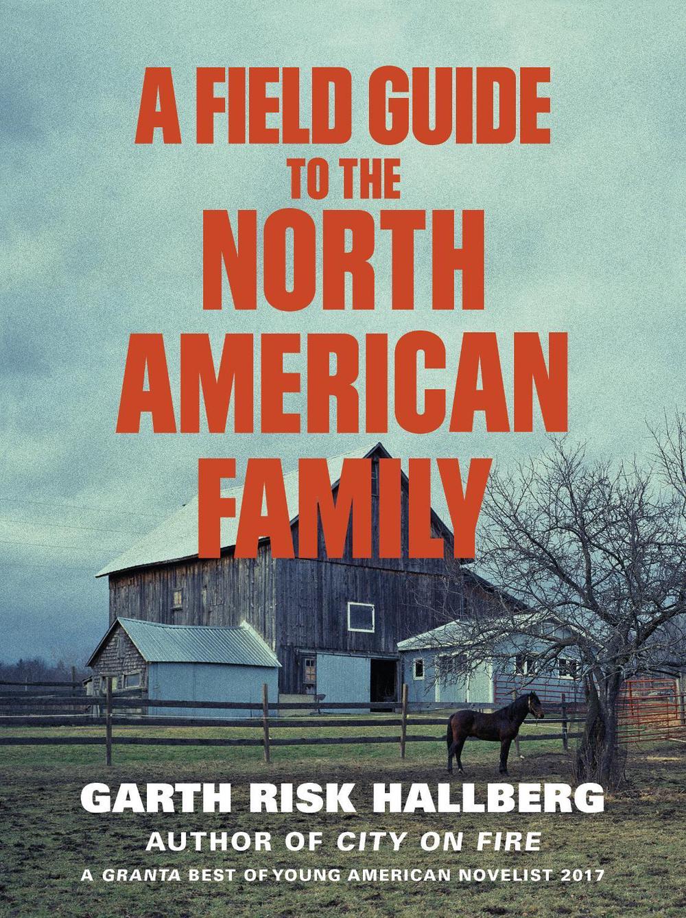 A Field Guide to the North American Family by Garth Risk Hallberg - ISBN: 9781784707446