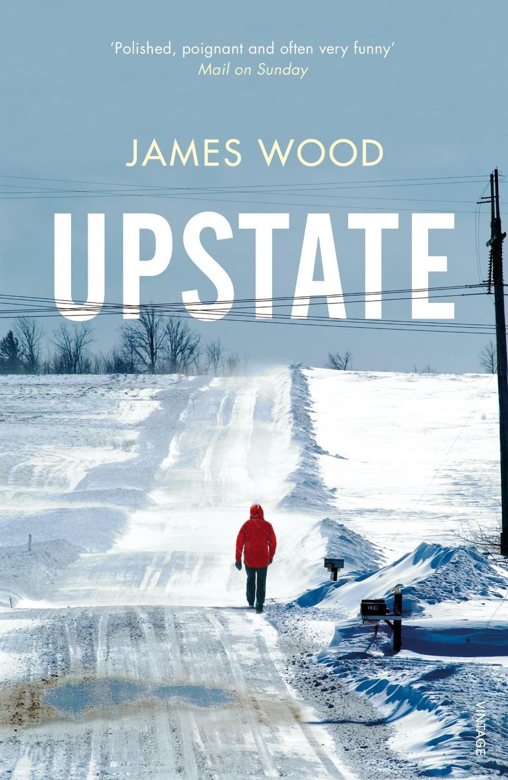 Upstate by James Wood - ISBN: 9781784708054