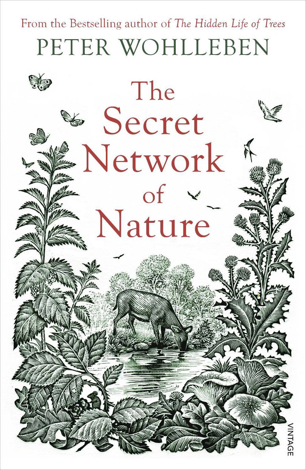 The Secret Network of Nature, 9781784708498