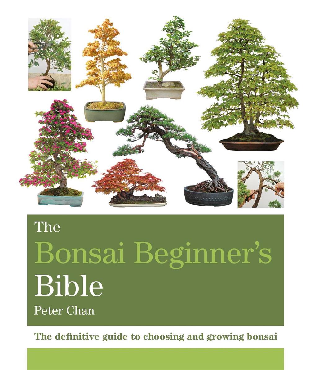 The Bonsai Beginner's Bible, 9781784723699