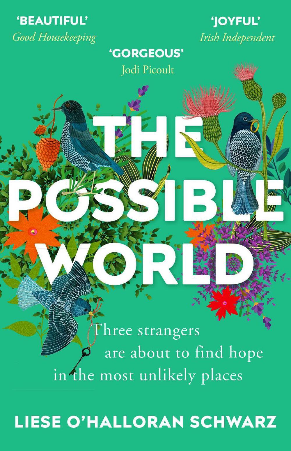 The Possible World by Liese O'Halloran Schwarz - ISBN: 9781784757328