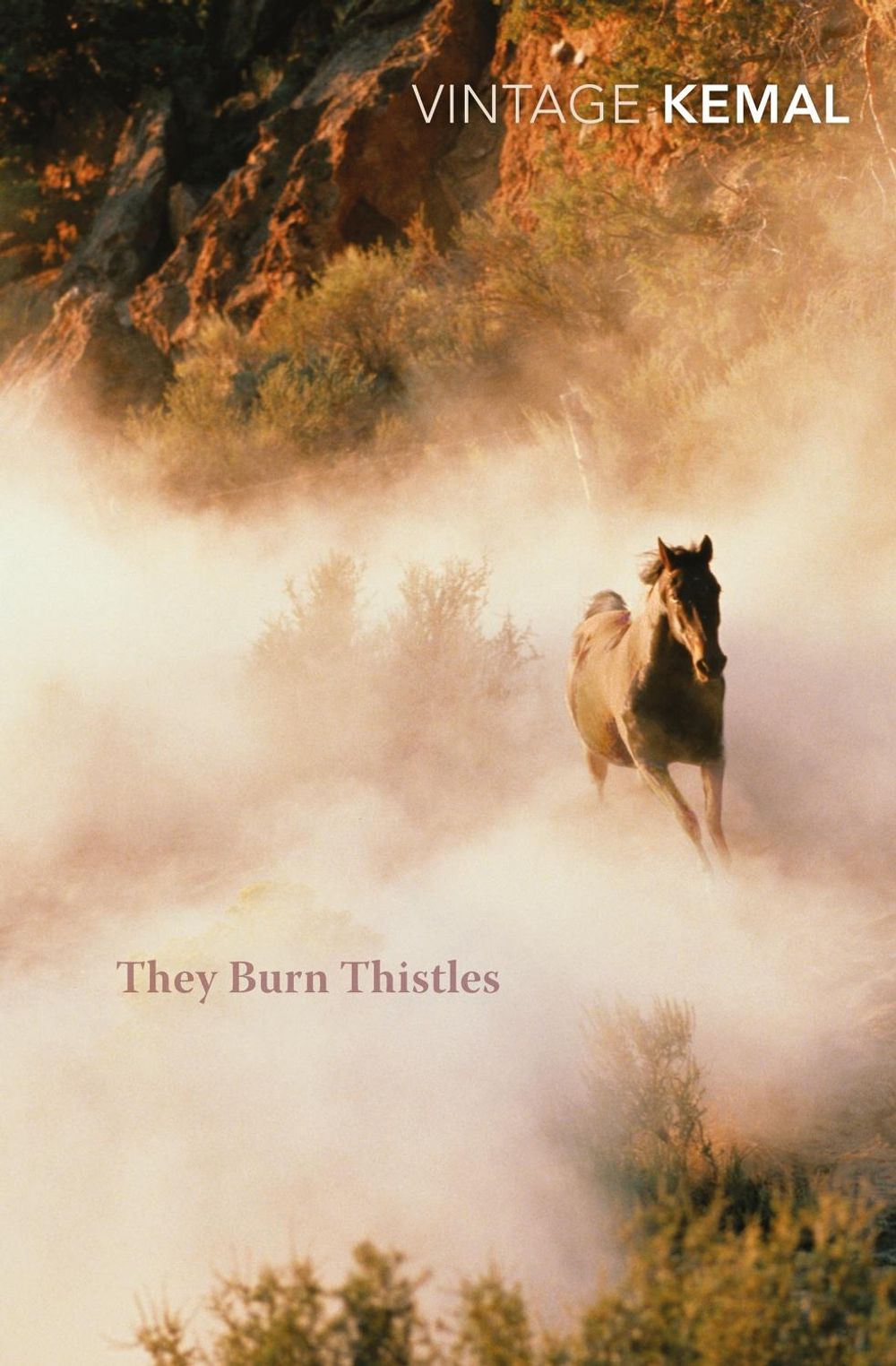 They Burn Thistles by Yashar Kemal - ISBN: 9781784870478