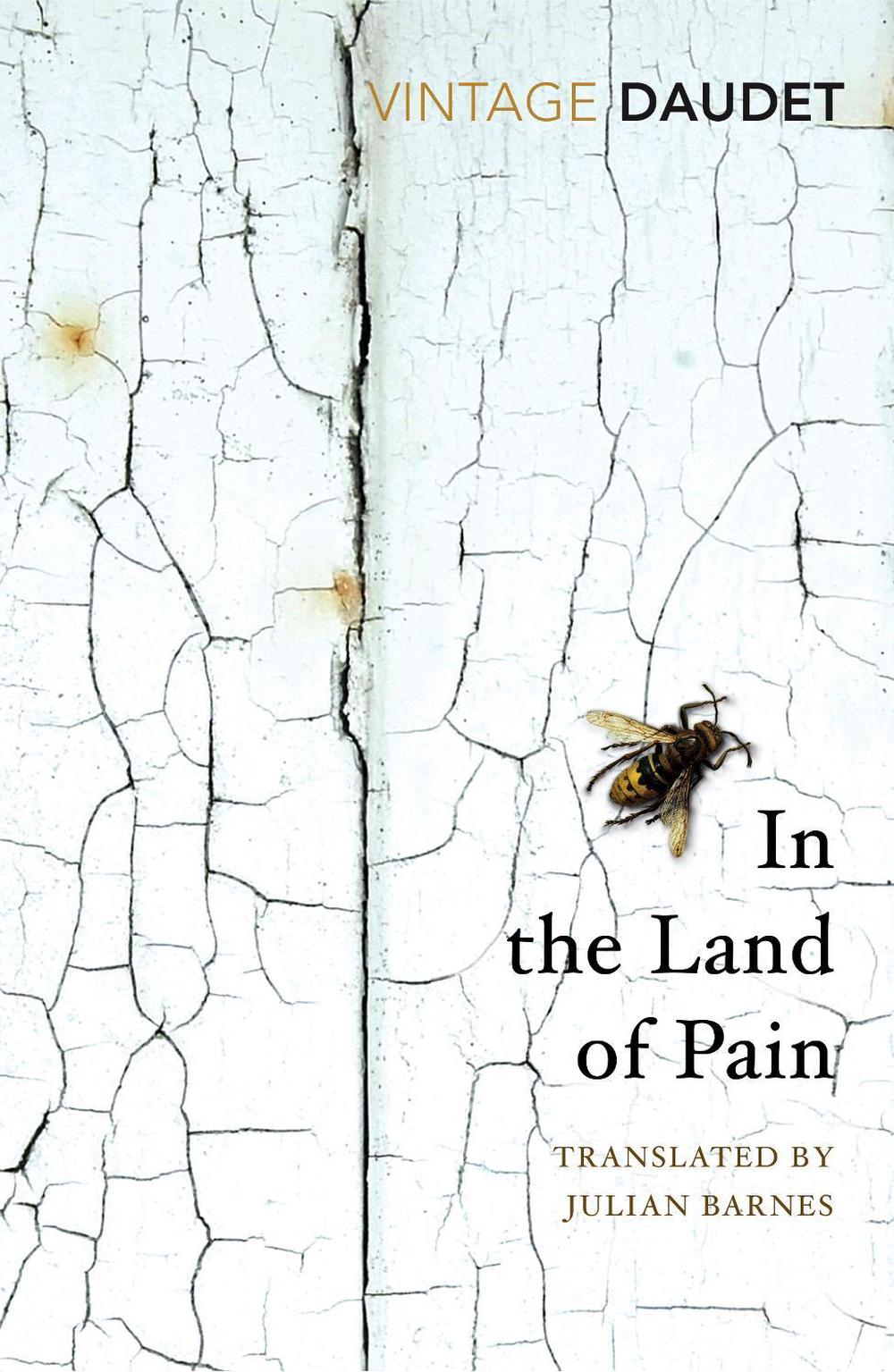 In the Land of Pain by Alphonse Daudet - ISBN: 9781784873455