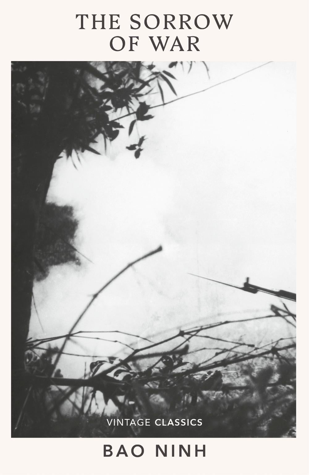 The Sorrow of War by Bao Ninh - ISBN: 9781784879839