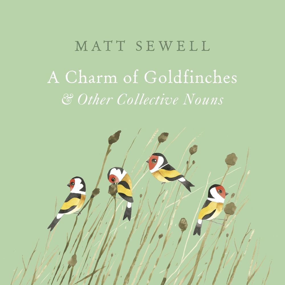 A Charm of Goldfinches and Other Collective Nouns by Matt Sewell - ISBN: 9781785033889