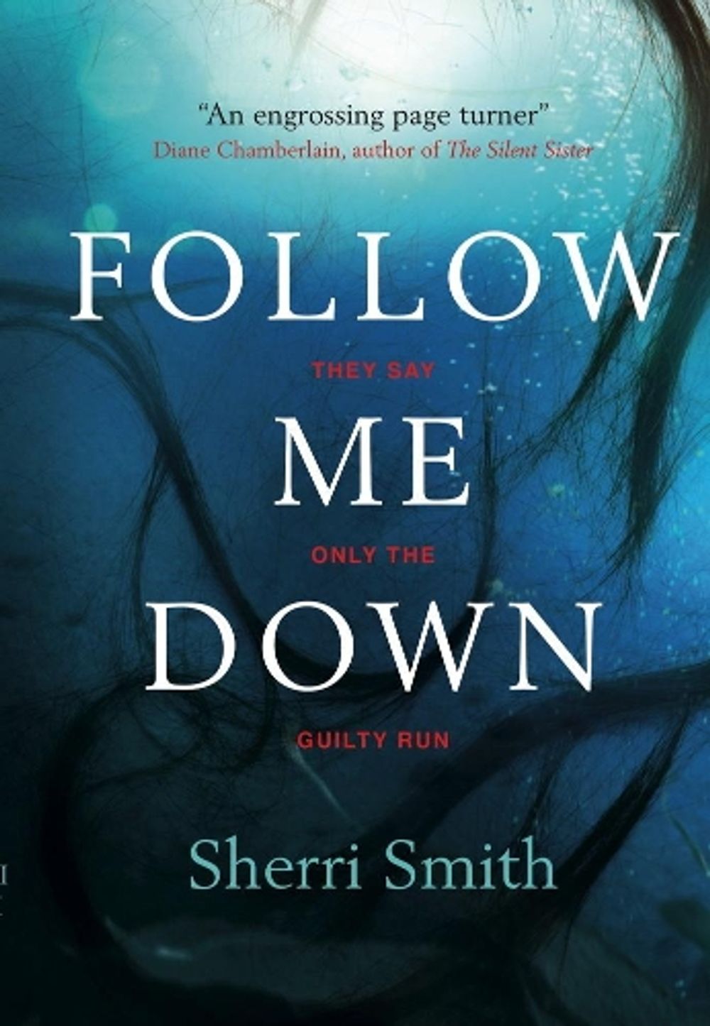 Follow Me Down by Sherri Smith - ISBN: 9781785654046