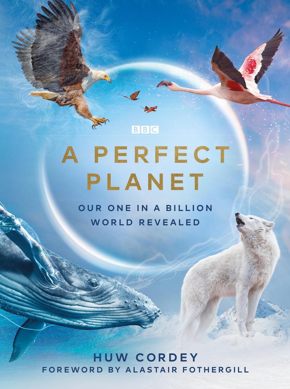 A Perfect Planet by Huw Cordey - ISBN: 9781785945298