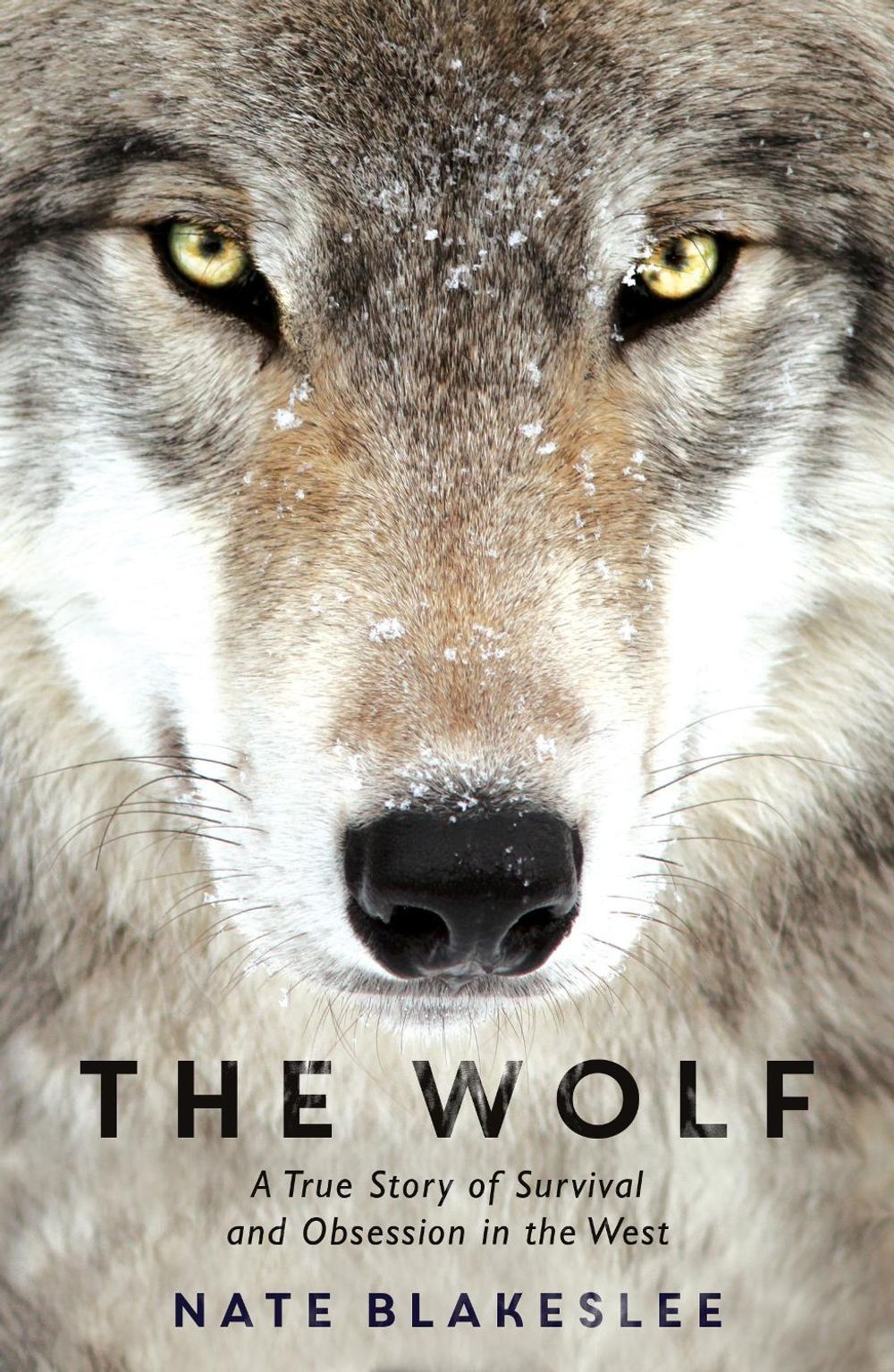 The Wolf by Nate Blakeslee - ISBN: 9781786074072