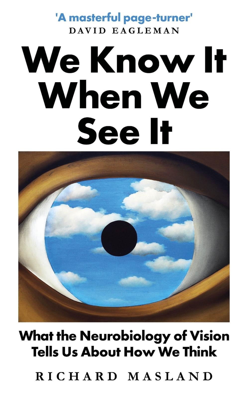 We Know It When We See It by Richard Masland - ISBN: 9781786078162
