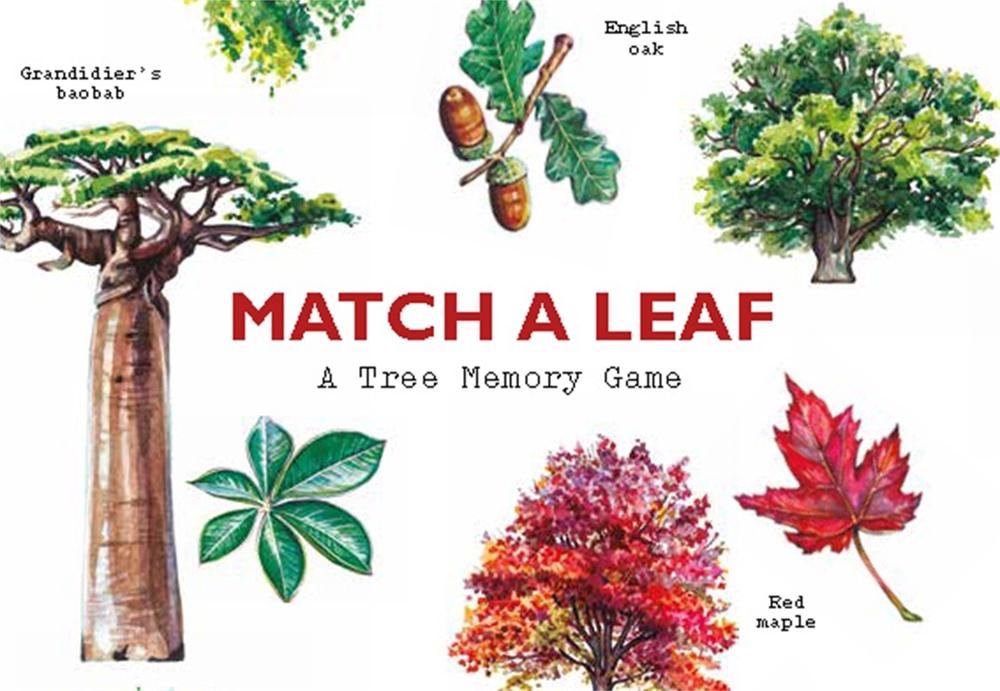 Match a Leaf, 9781786272270