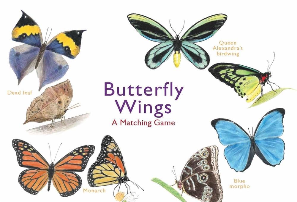 Butterfly Wings by Christine Berrie - ISBN: 9781786272850