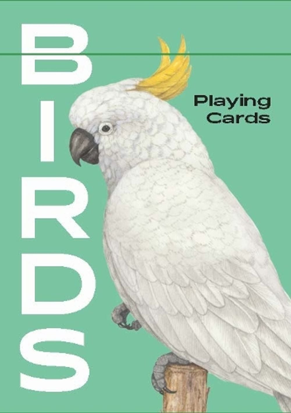 Birds by Ryuto Miyake - ISBN: 9781786273826