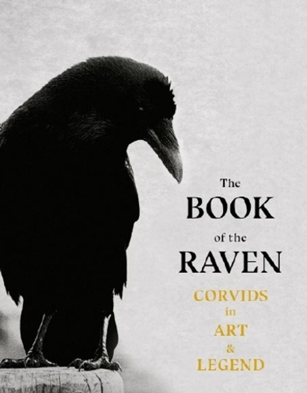 The Book of the Raven by Angus Hyland - ISBN: 9781786277015