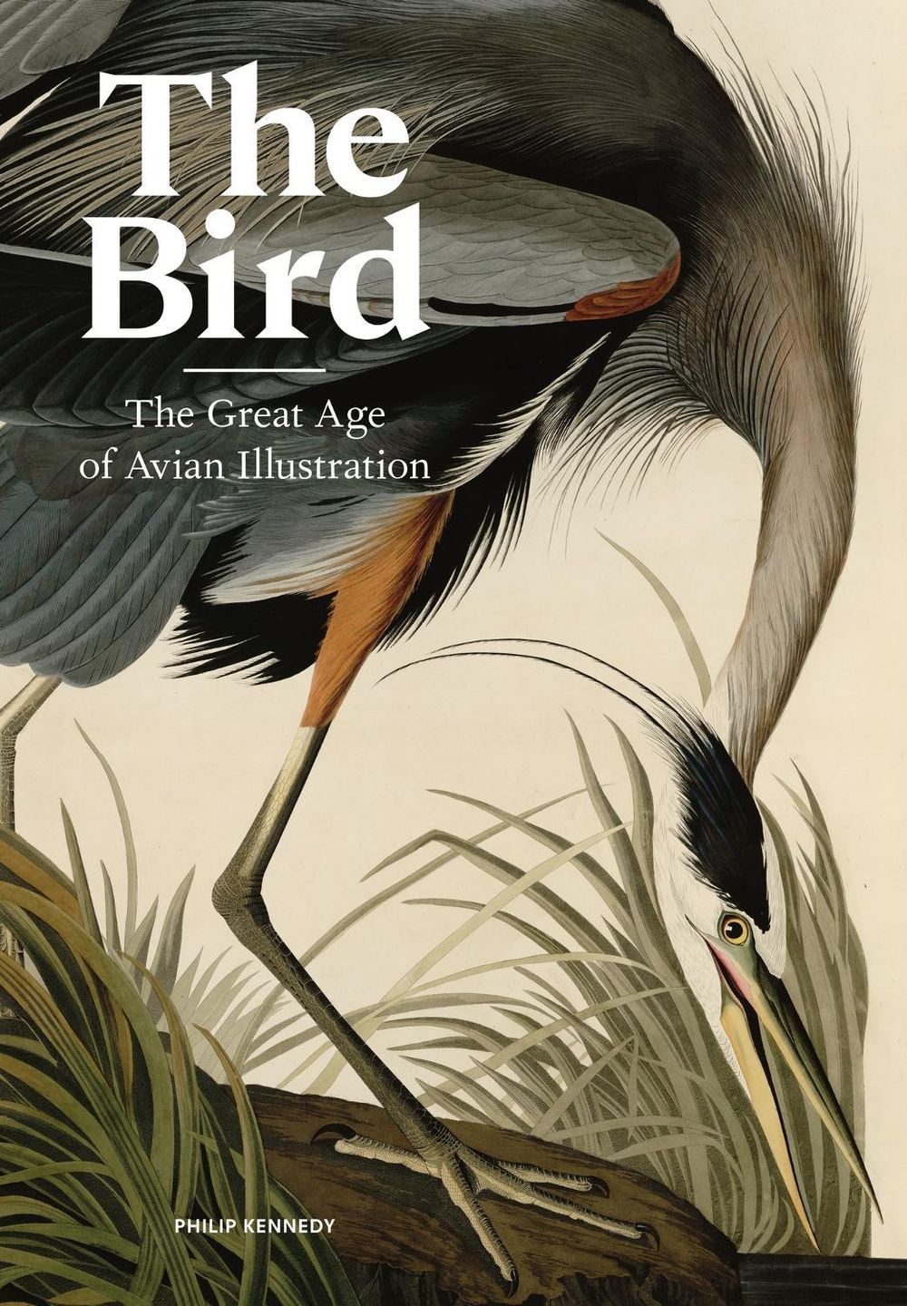 The Bird by Philip Kennedy - ISBN: 9781786277312