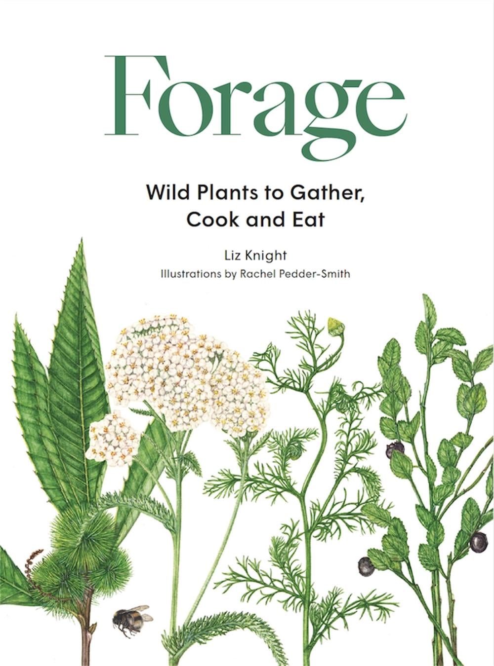 Forage by Liz Knight - ISBN: 9781786277350
