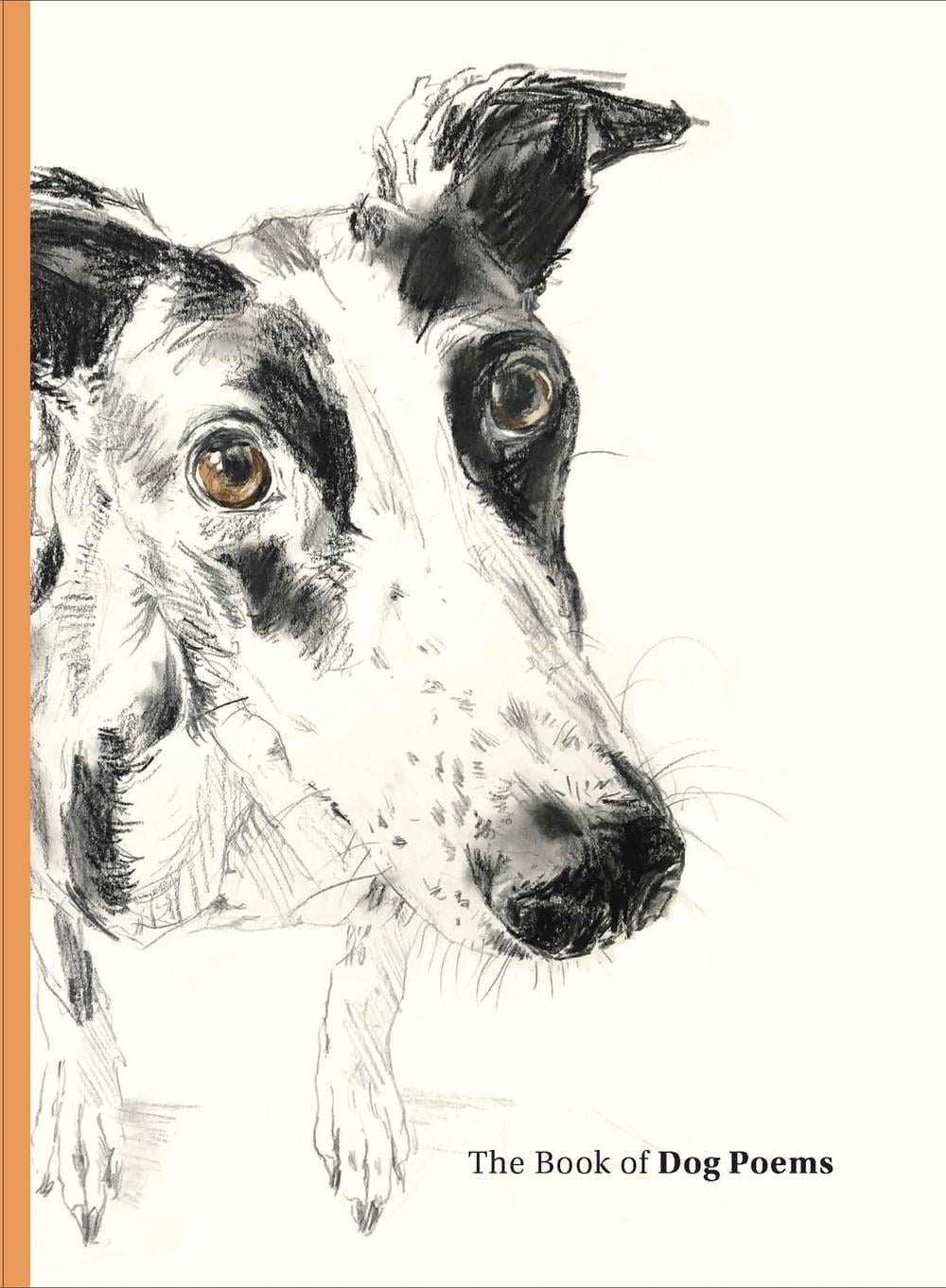 The Book of Dog Poems by Ana Sampson - ISBN: 9781786279439
