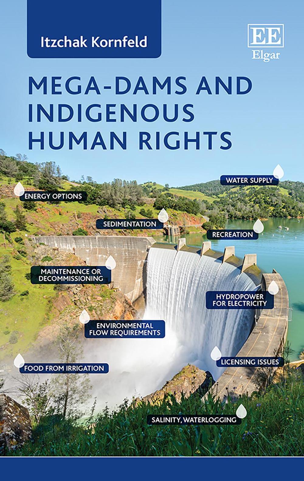 Mega-Dams and Indigenous Human Rights by Itzchak Kornfeld - ISBN: 9781786435484