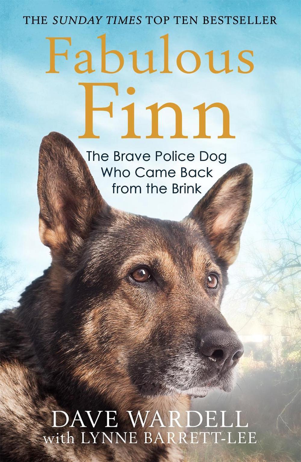 Fabulous Finn by Dave Wardell - ISBN: 9781786489098