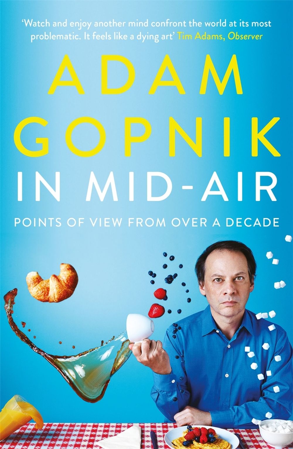 In Mid-Air by Adam Gopnik - ISBN: 9781786489241