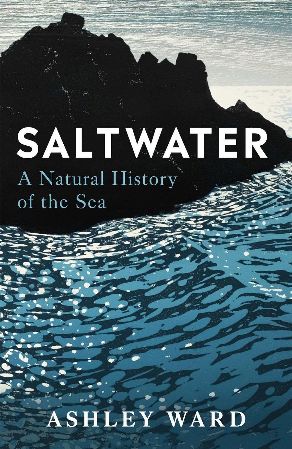Saltwater by Dr Ashley Ward - ISBN: 9781786582980