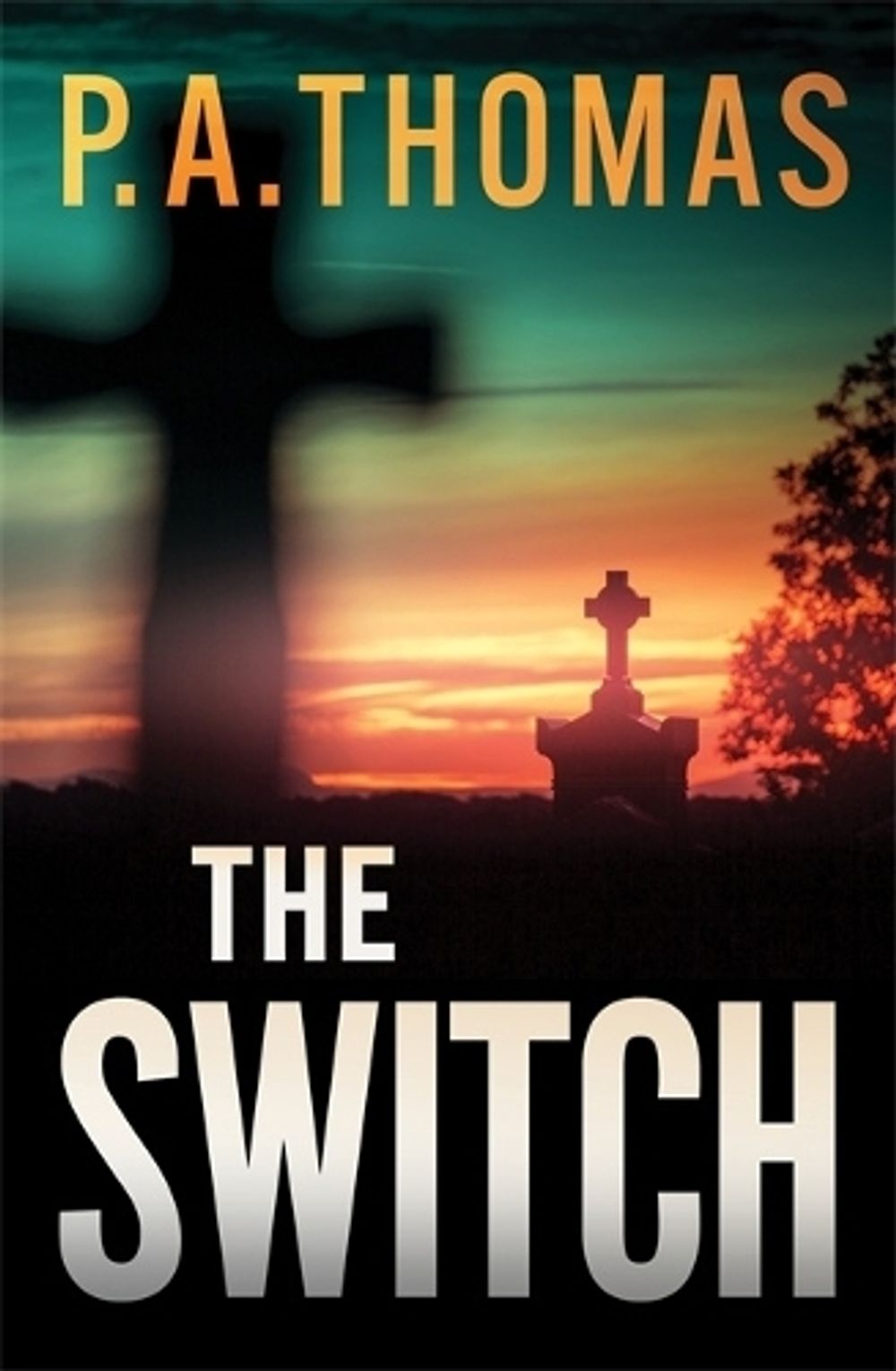 The Switch by P.A. Thomas - ISBN: 9781786585431