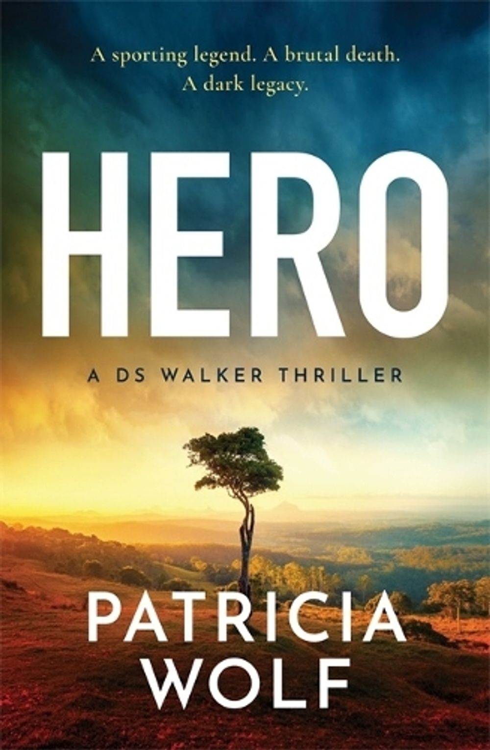 Hero by Patricia Wolf - ISBN: 9781786587923