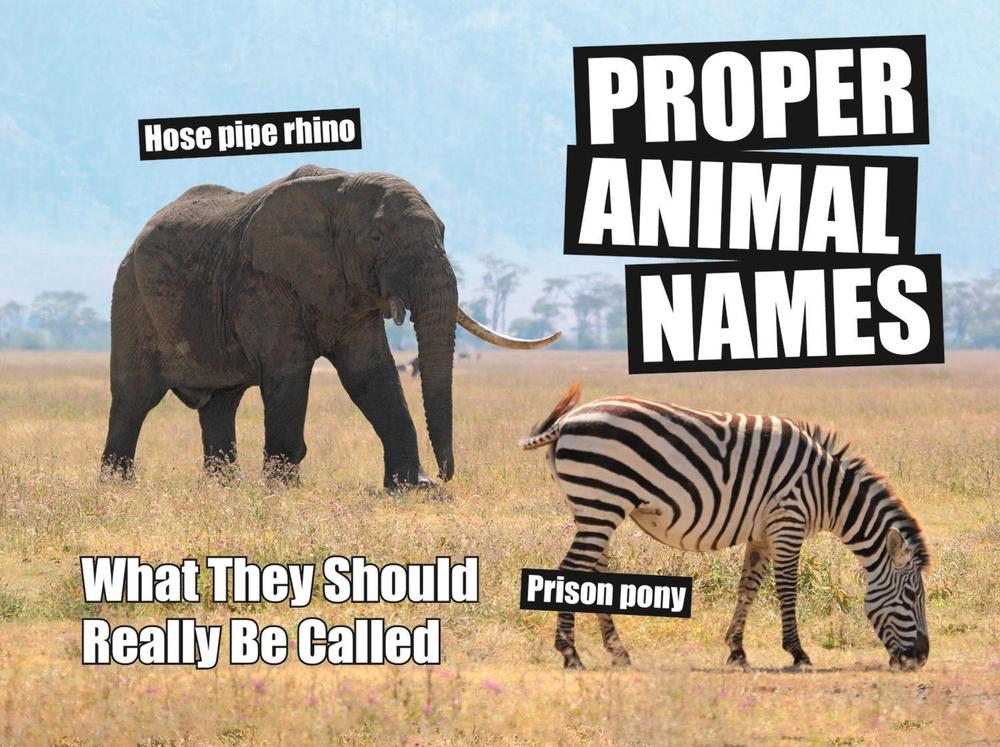 Proper Animal Names, 9781786852052