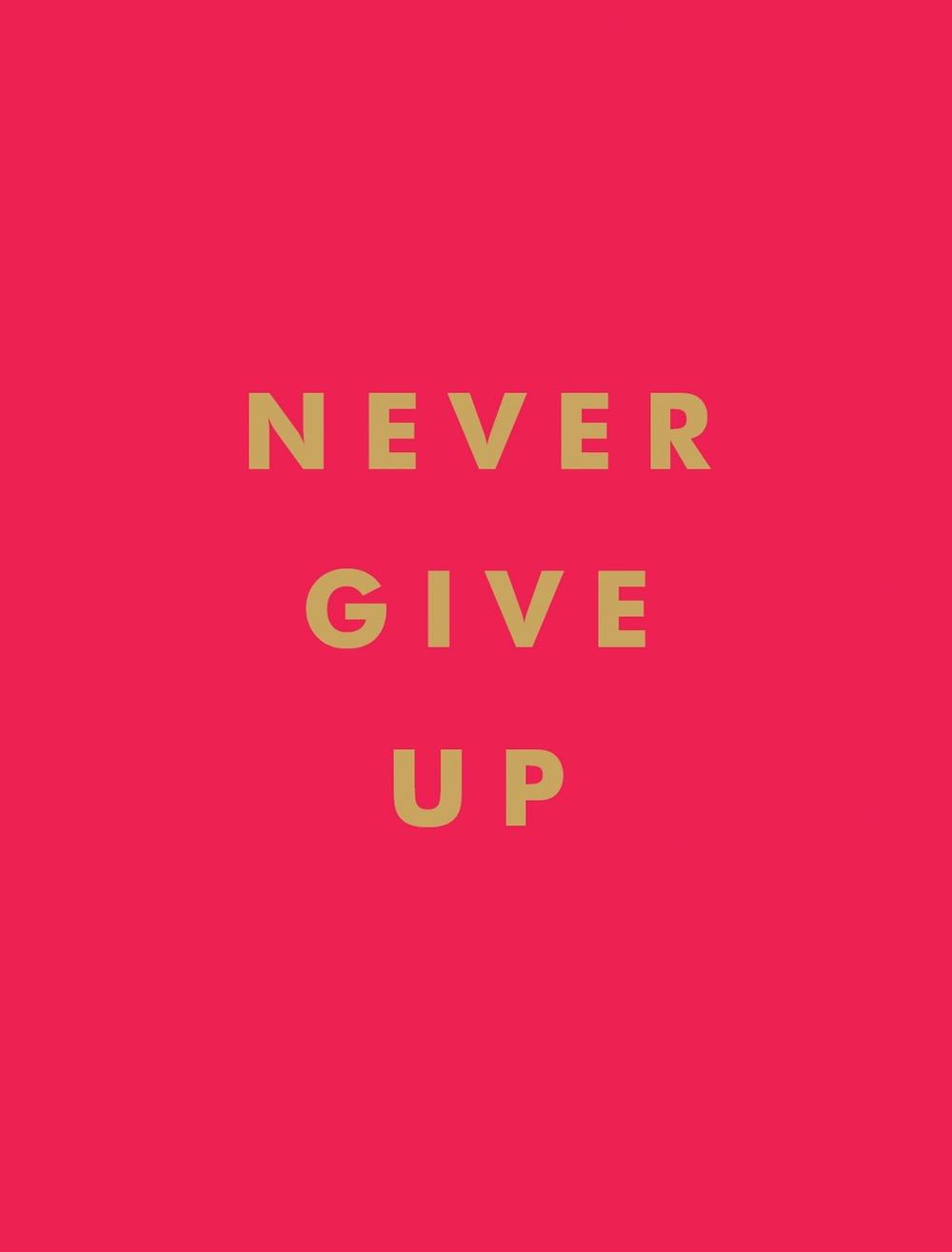 Never Give Up by Summersdale Publishers - ISBN: 9781786859785