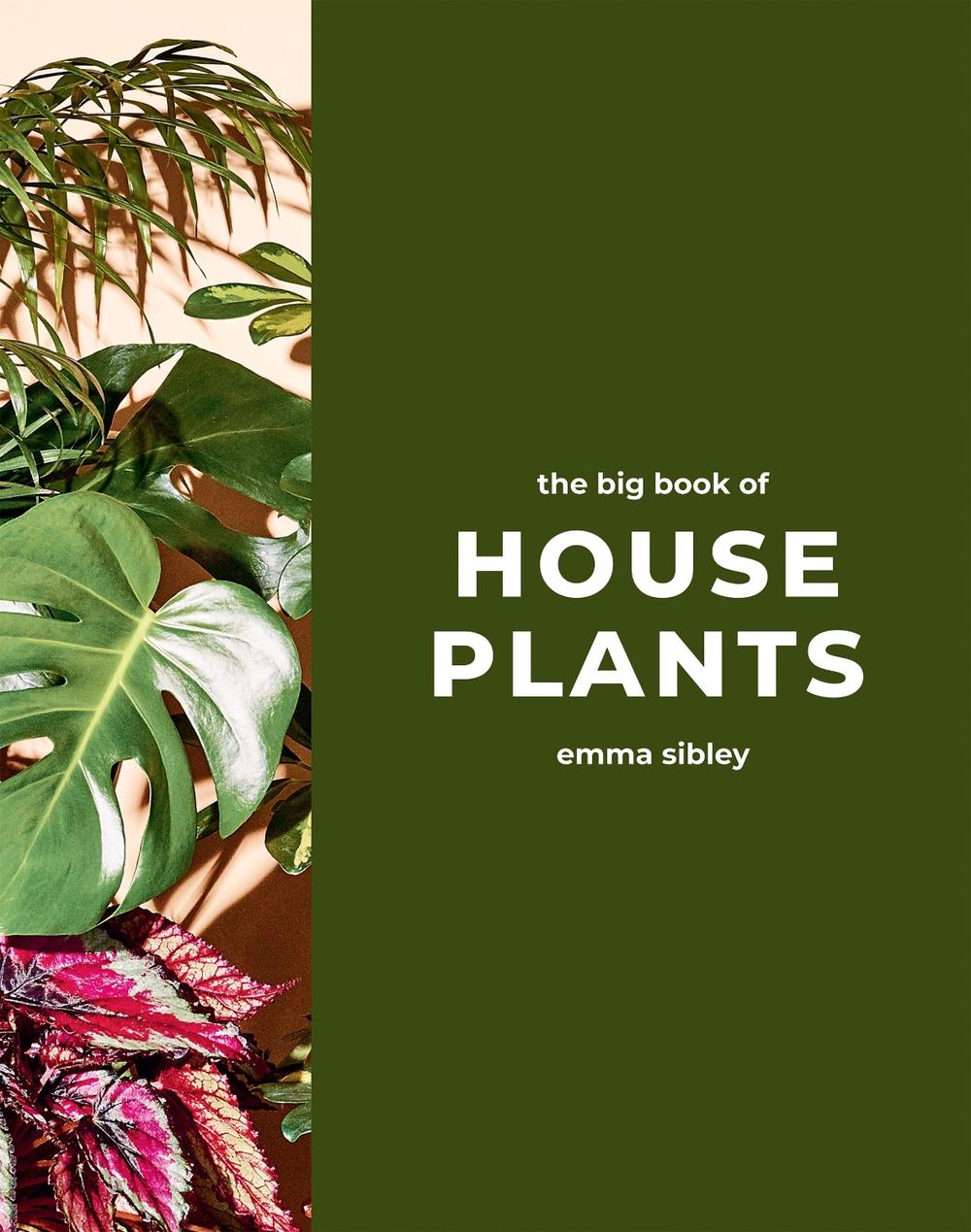 The Big Book of House Plants, 9781787139428