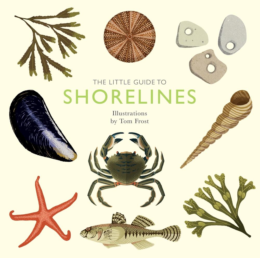 The Little Guide to Shorelines by Alison Davies - ISBN: 9781787139596