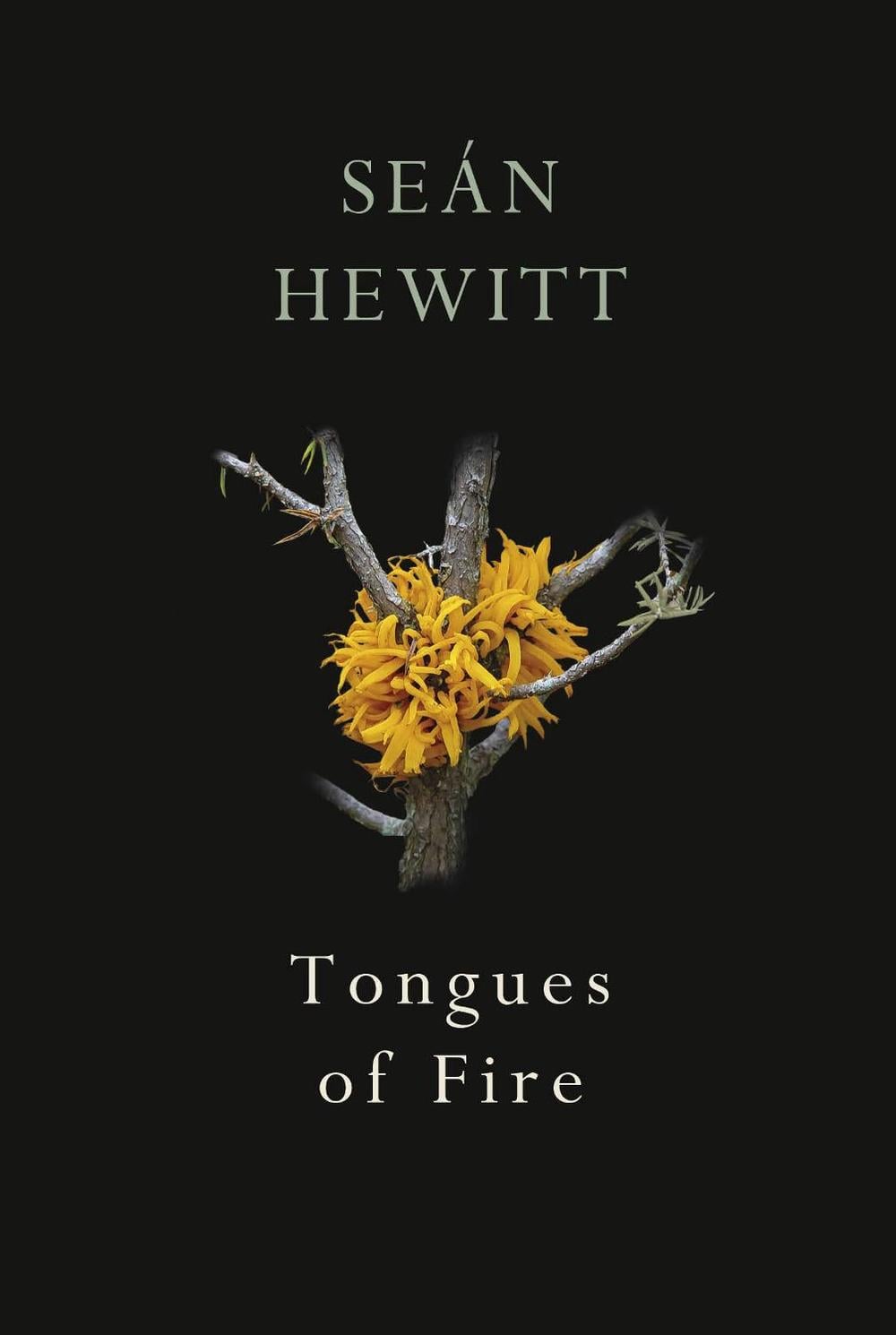 Tongues of Fire by Seán Hewitt - ISBN: 9781787332263