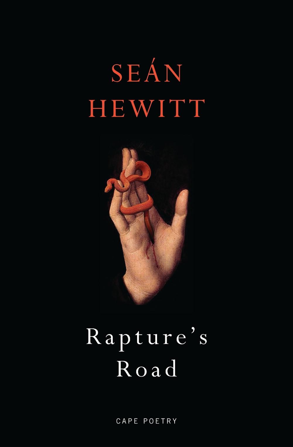 Rapture's Road by Seán Hewitt - ISBN: 9781787334274
