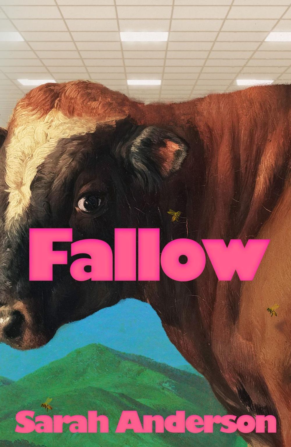 Fallow by Sarah Anderson - ISBN: 9781787336650