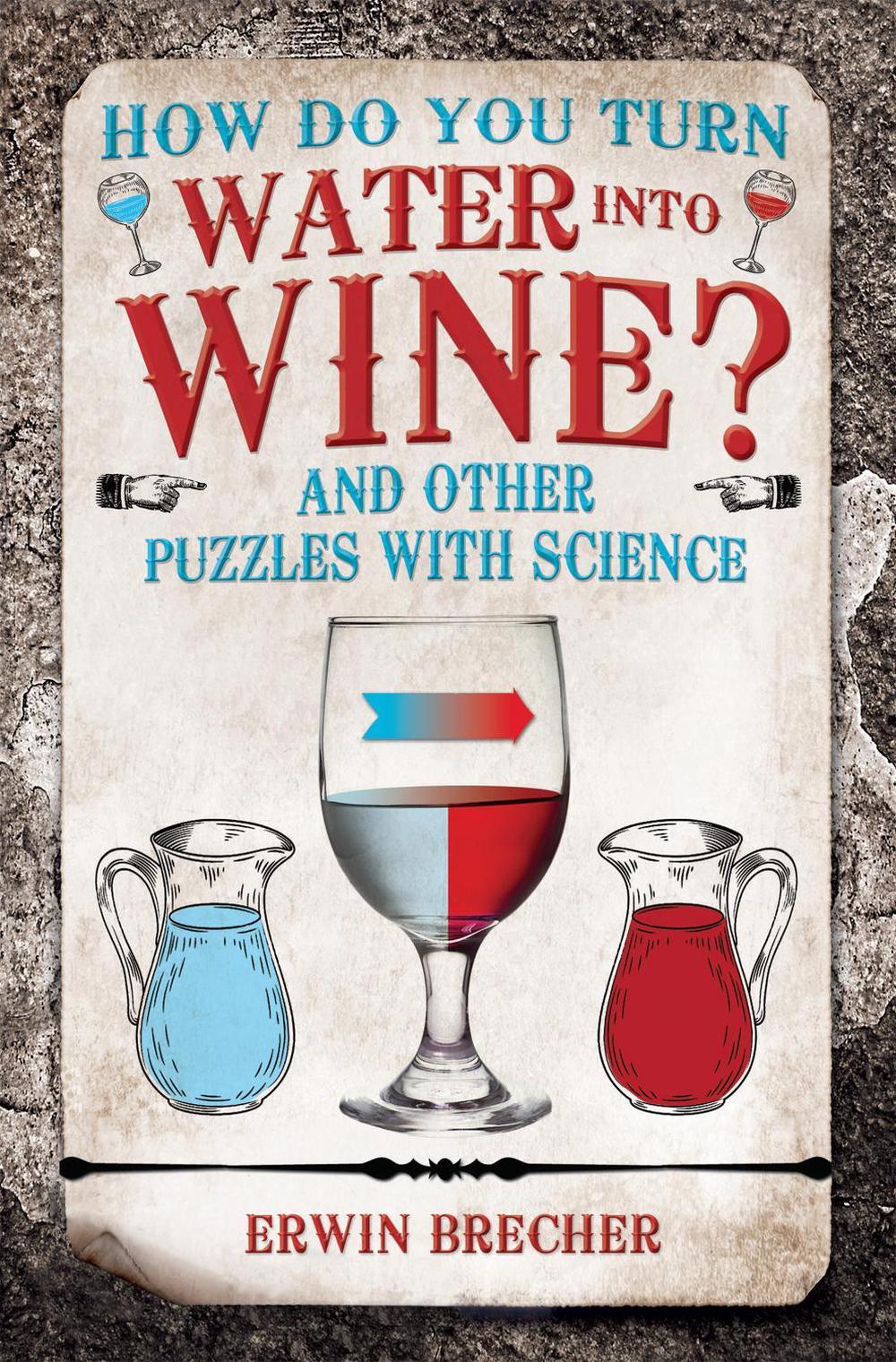 How Do You Turn Water into Wine? by Erwin Brecher - ISBN: 9781787390539