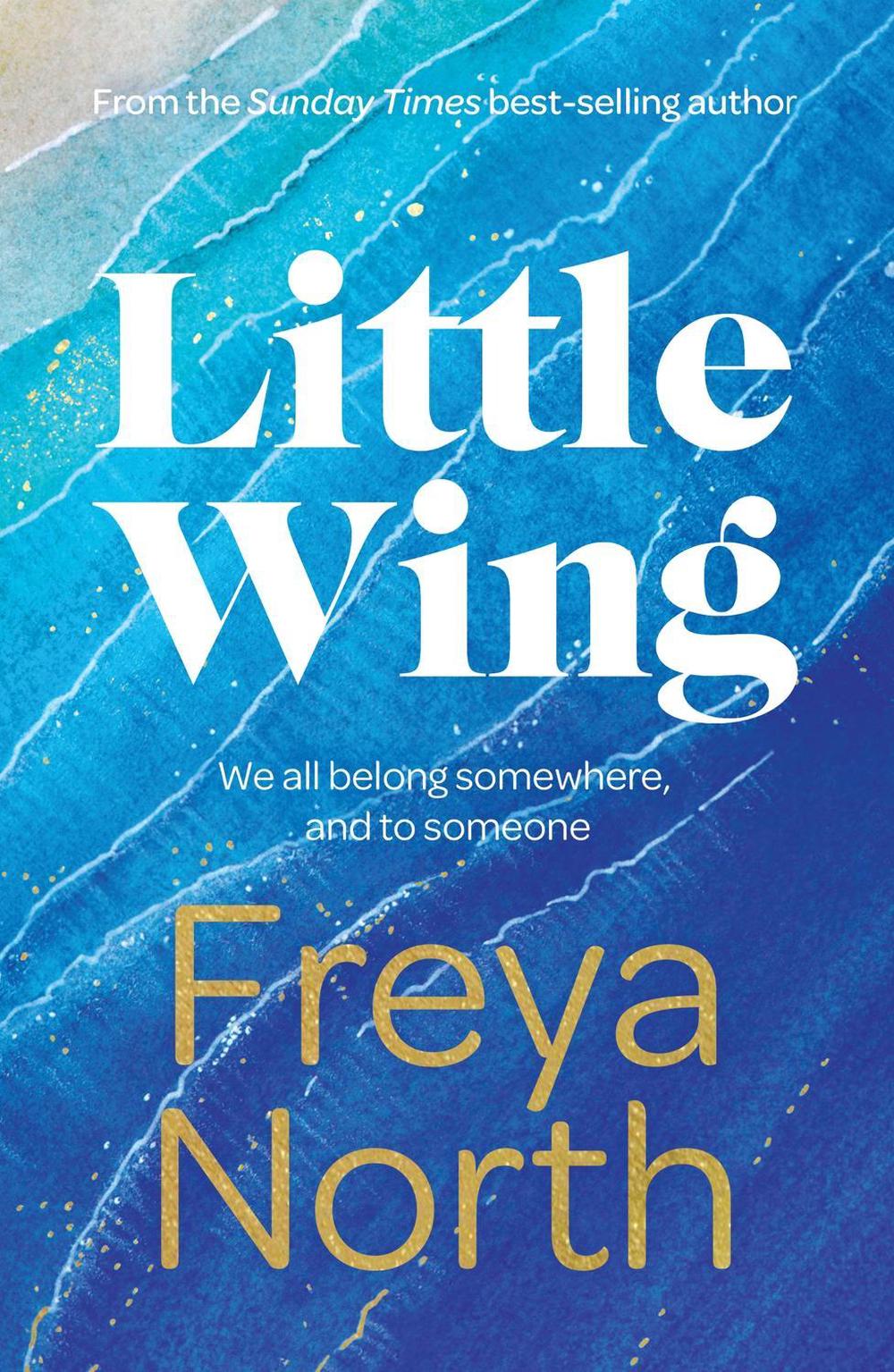 Little Wing by Freya North - ISBN: 9781787397606