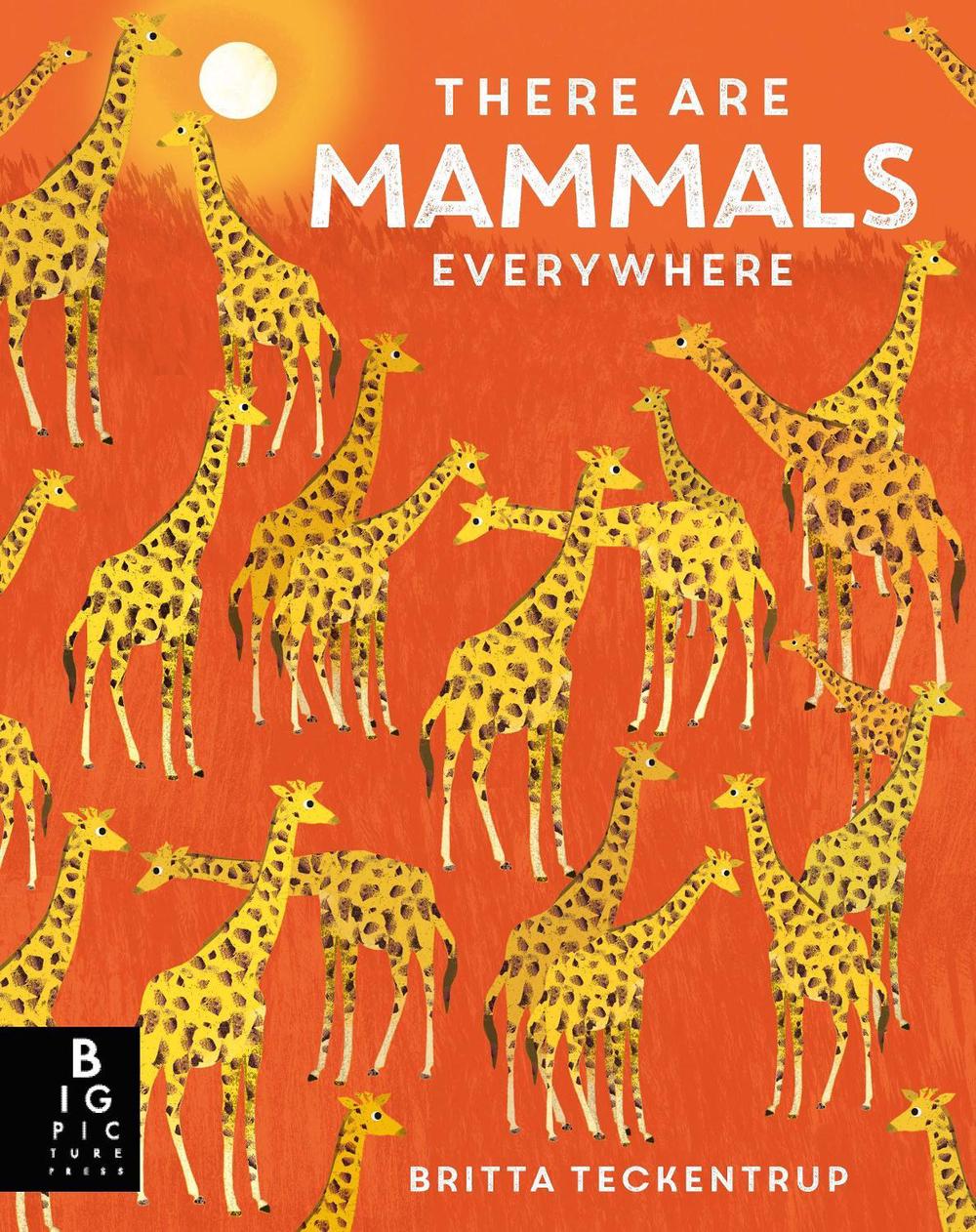There are Mammals Everywhere, 9781787419940