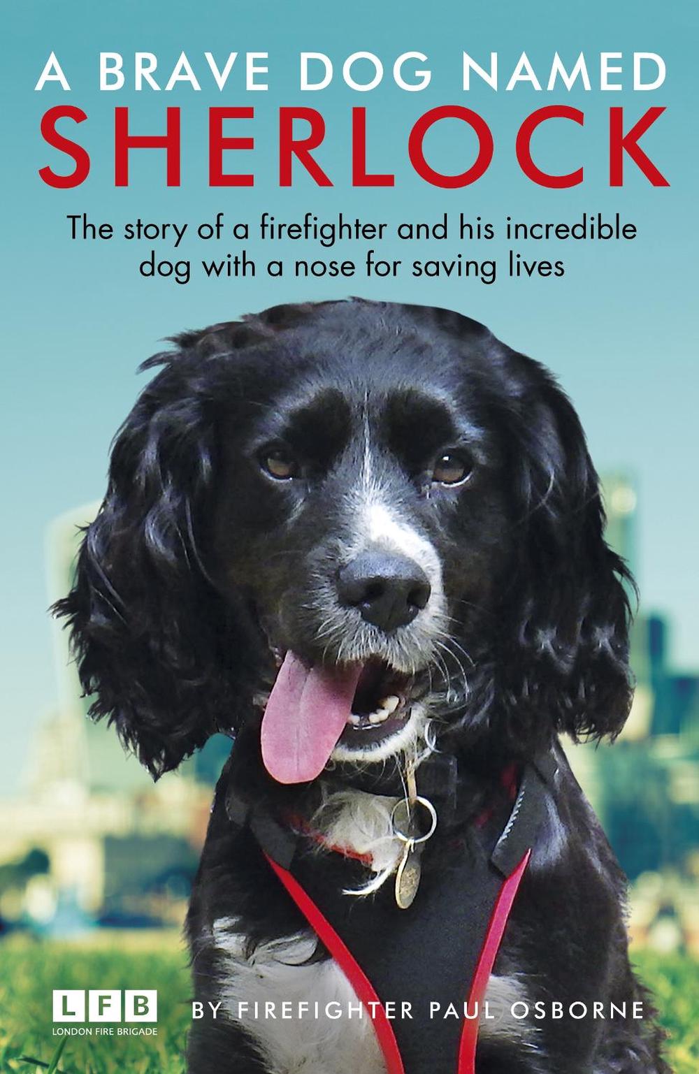 A Brave Dog Named Sherlock by Paul Osborne - ISBN: 9781787460836