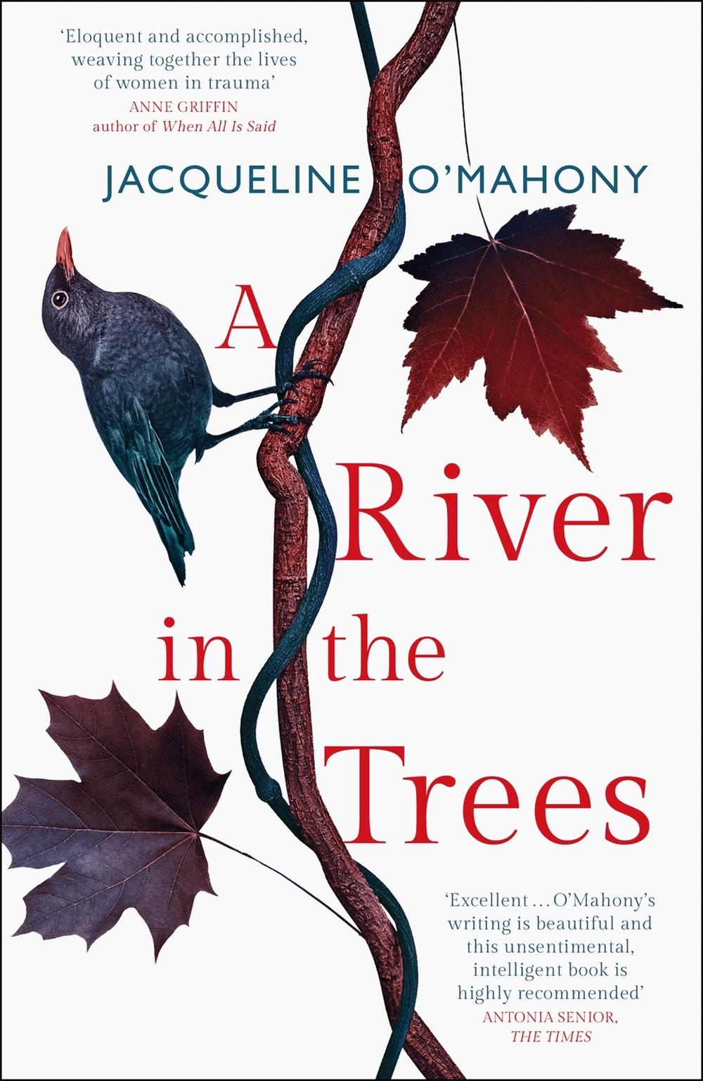 A River in the Trees by Jacqueline O'Mahony - ISBN: 9781787473553