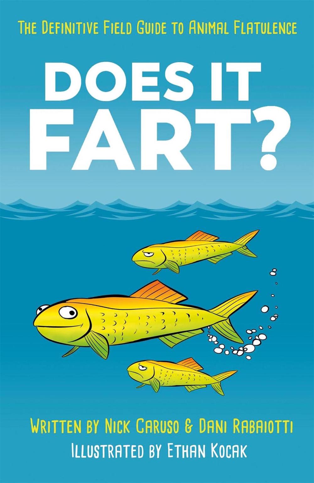 Does It Fart? by Dani Rabaiotti - ISBN: 9781787474802
