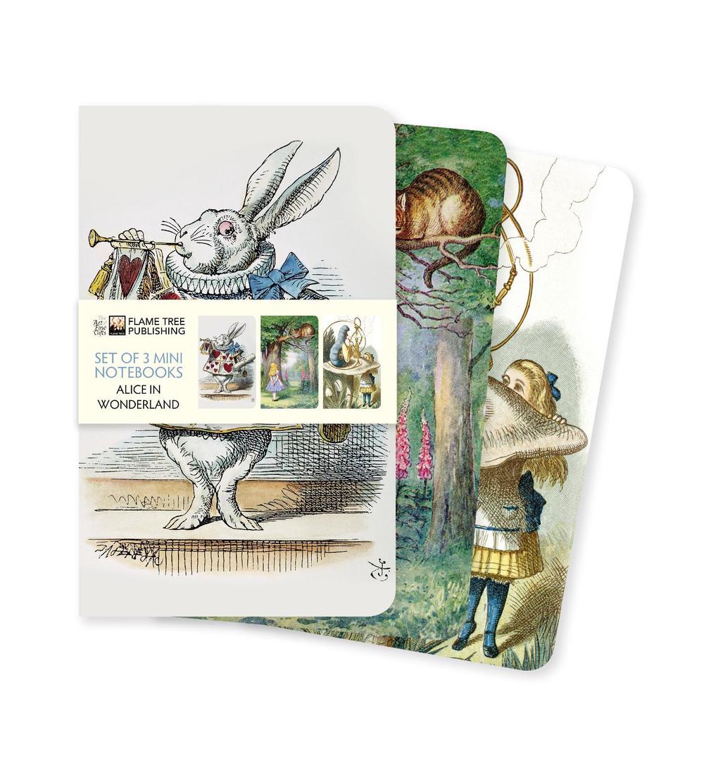 Alice in Wonderland Set of 3 Mini Notebooks, 9781787559141