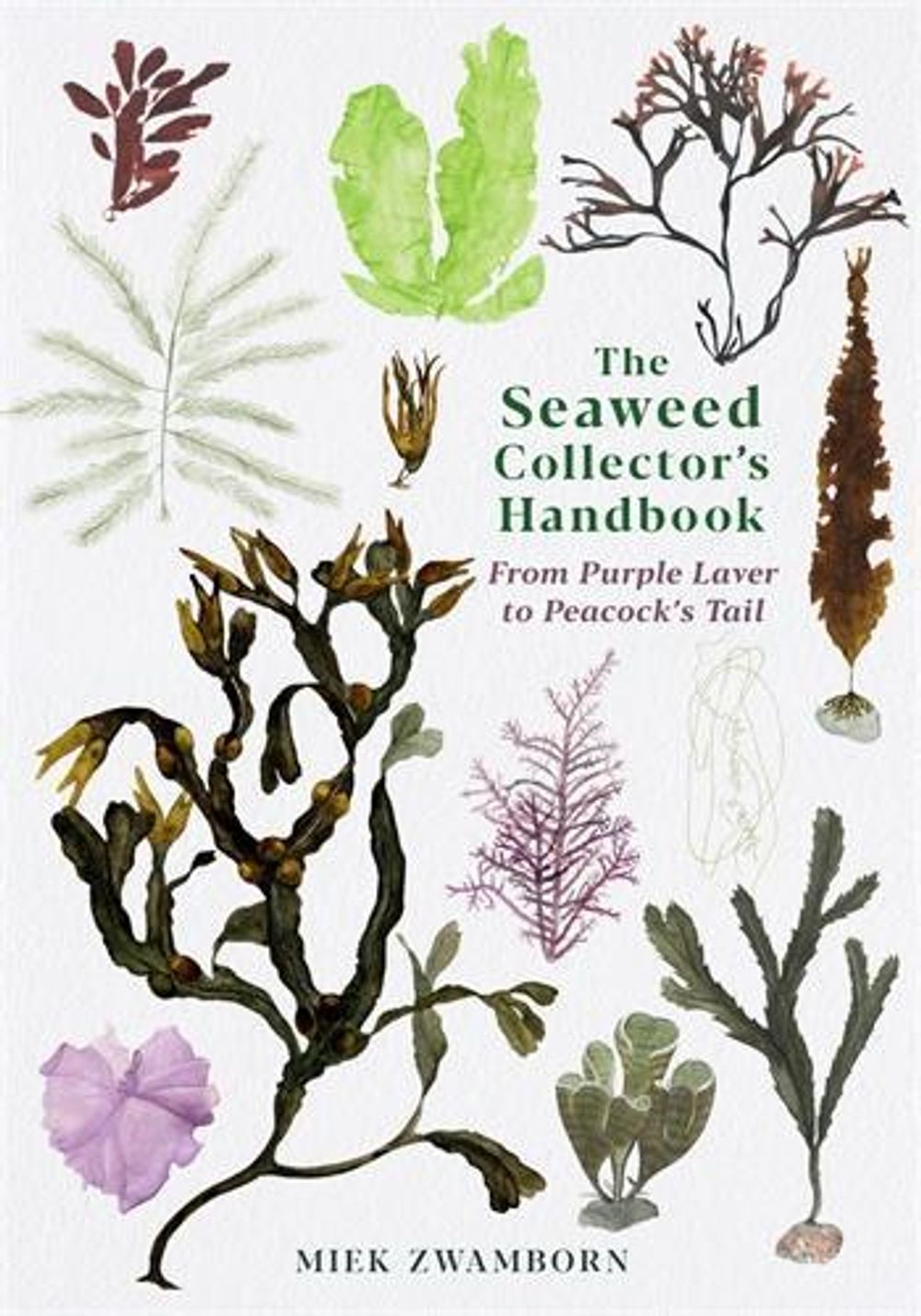 The Seaweed Collector's Handbook by Miek Zwamborn - ISBN: 9781788165471