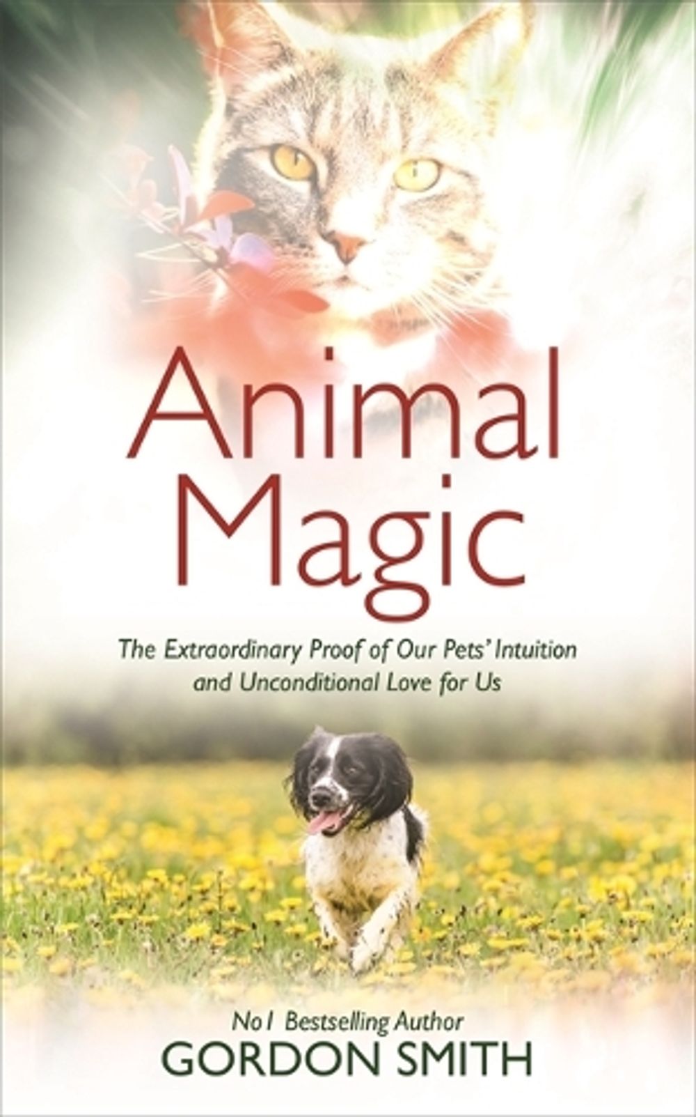 Animal Magic by Gordon Smith - ISBN: 9781788170635