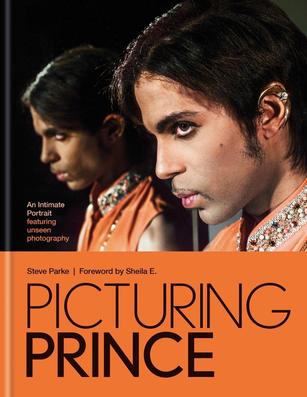 Picturing Prince, 9781788406611