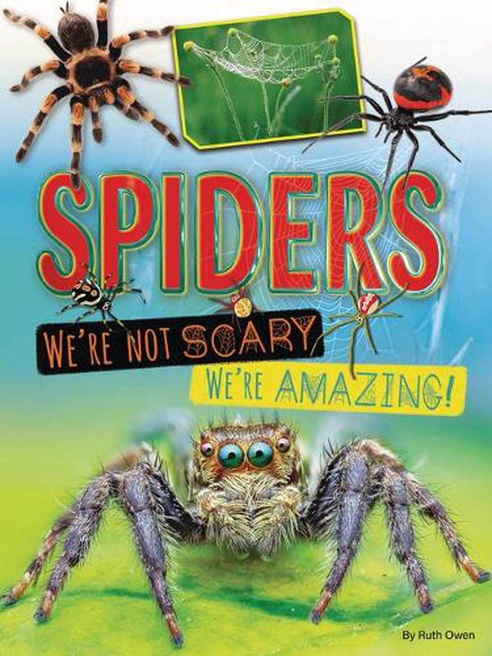 Buy spiders shop online