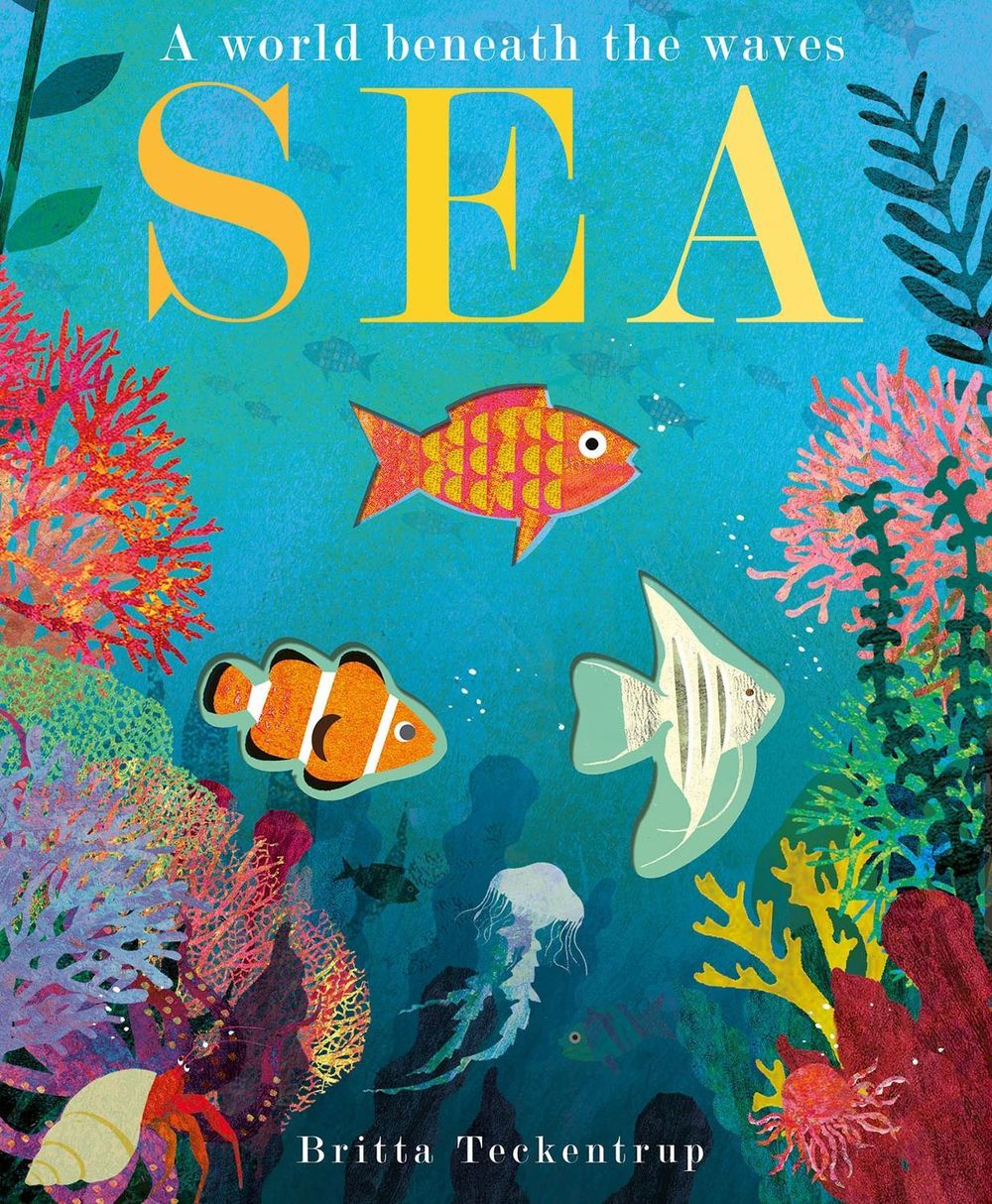 Sea by Patricia Hegarty - ISBN: 9781788813129