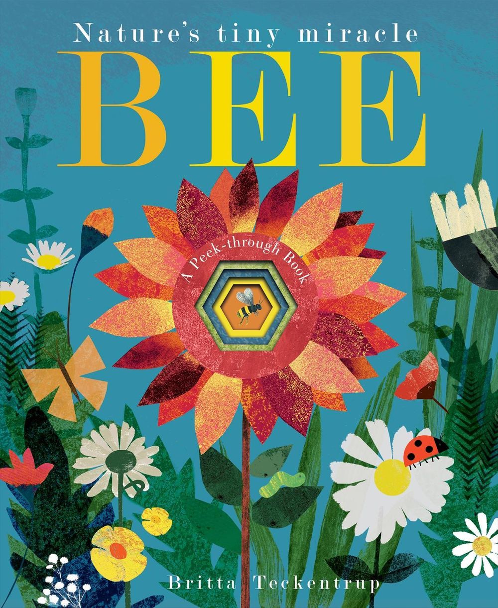 Bee by Patricia Hegarty - ISBN: 9781788816281